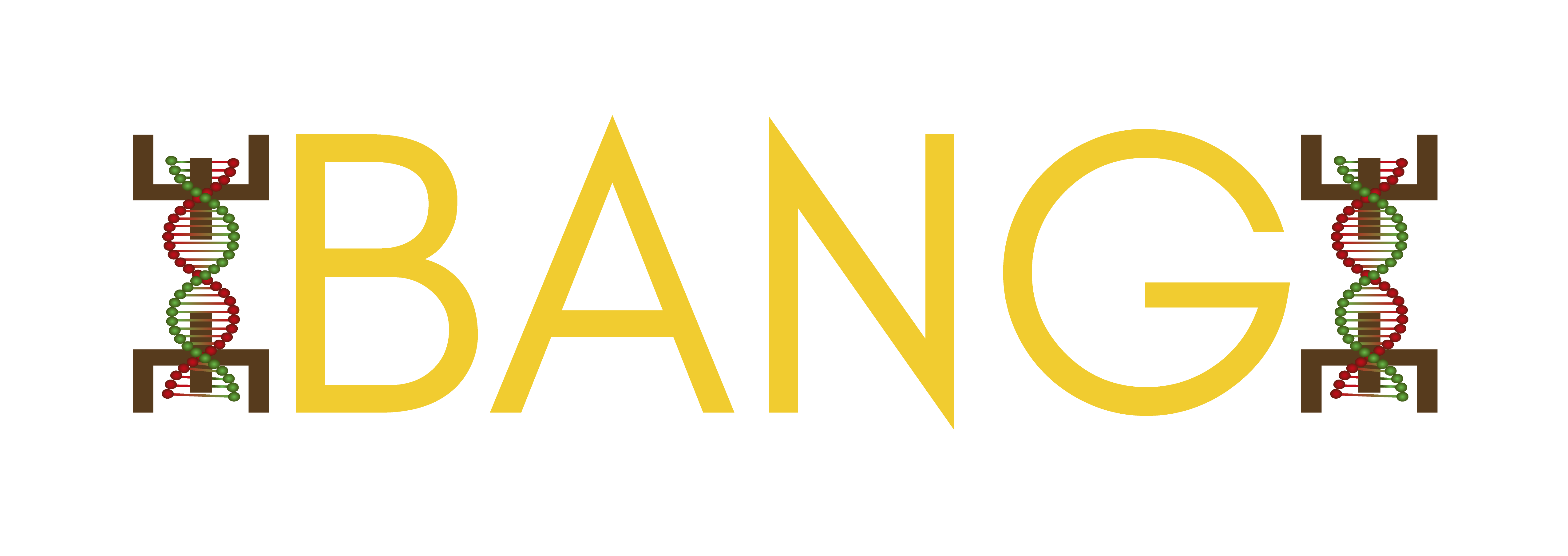 LOGO BANG