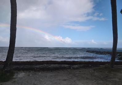 une plage avec un arc en ciel à l'horizon 