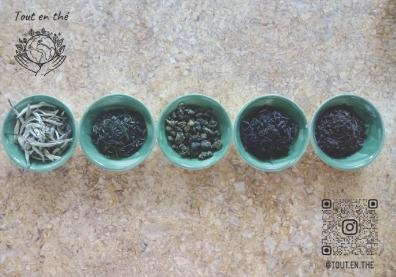 5 cups with different types of tea