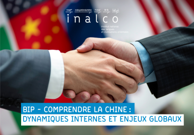 Poignée de main entre deux personnes symbolisant la coopération internationale, avec des drapeaux de pays en arrière-plan.