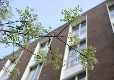 façade du bâtiment du PLC