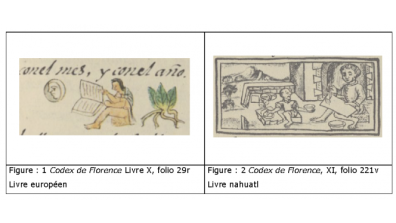 Aztèque - Figure : 1 Codex de Florence Livre X, folio 29r - Livre européen  --  Figure : 2 Codex de Florence, XI, folio 221v - Livre nahuatl