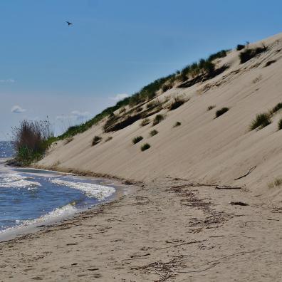 Une dune devant la mer