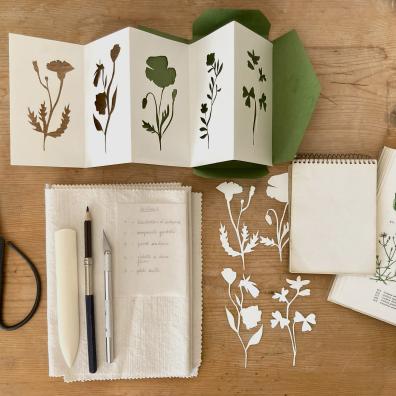 Cut-out paper herbarium