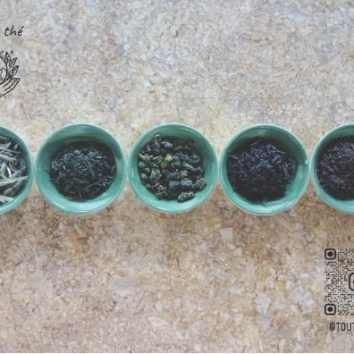 5 cups with different types of tea