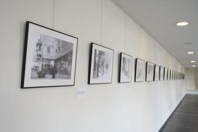 Exposition dans la galerie du PLC