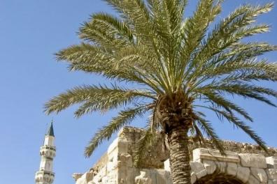 Le haut d'une mosquée avec un palmier devant 