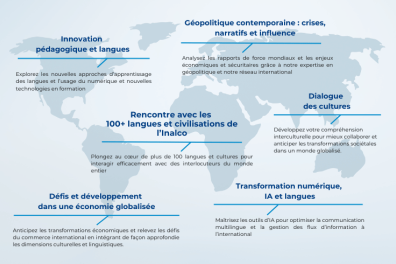 Les formations Executive Education de l'Inalco se déclinent en 6 grandes catégories