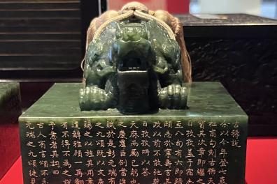 Seal photographed during a museum exhibition