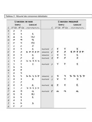 Tableau 5 : Récapitulatif des consonnes labialisées