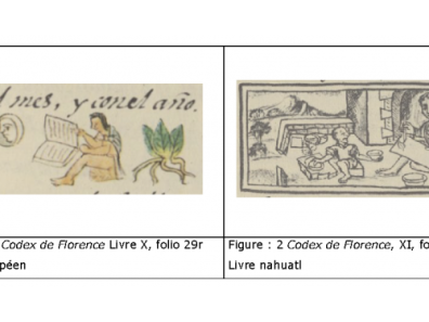 Aztèque - Figure : 1 Codex de Florence Livre X, folio 29r - Livre européen  --  Figure : 2 Codex de Florence, XI, folio 221v - Livre nahuatl