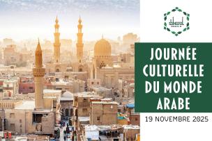 Vue panoramique des remparts de la vieille ville du Caire