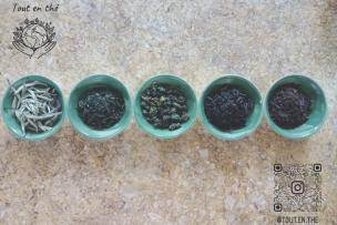 5 cups with different types of tea