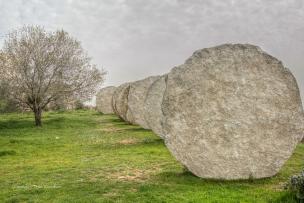 Magdalena Abakanowicz, Negev
